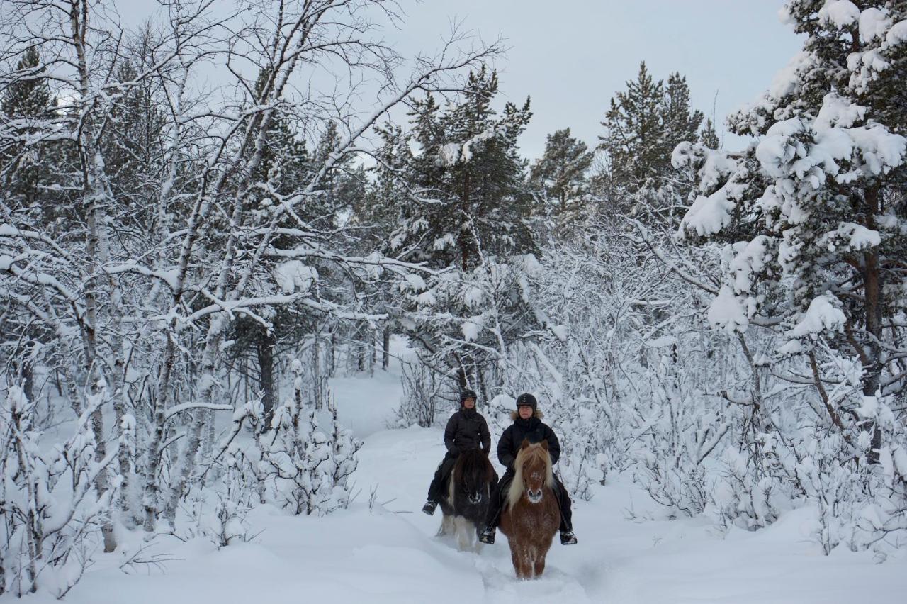 Ofelas Islandshaestar & Guideservice Kiruna Exterior photo